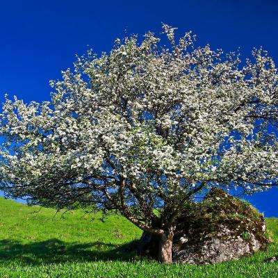 半岛·体育中国官方网站下载